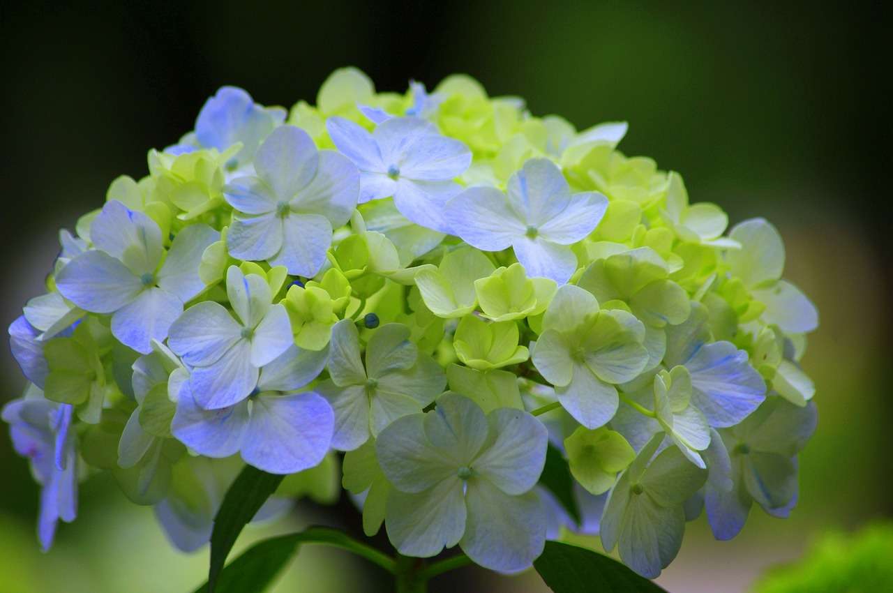 Tageshoroskop 15.6.2022